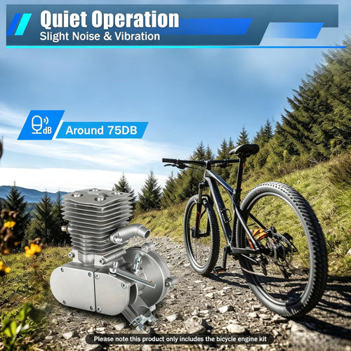 100cc 2-Stroke Bicycle Engine Kit H313